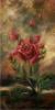 Rose 1